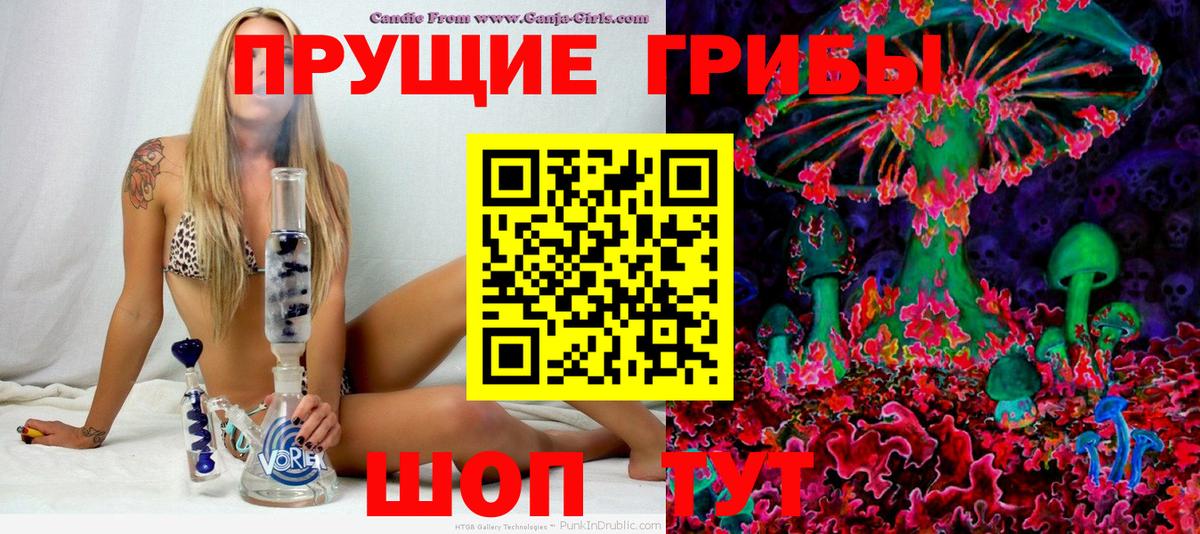 Краснокаменск  Галлюциногенные грибы MAGIC MUSHROOMS  Вход с VPN  Галлюциногенные грибы мухоморы 