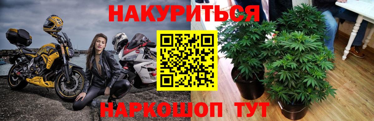 Краснокаменск  Шишки марихуана планчик  Вход с VPN  Каннабис THC 21% 